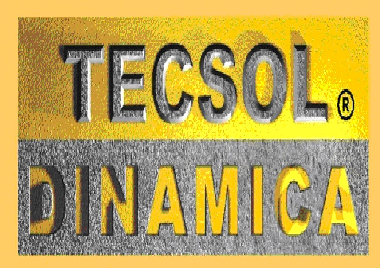 Tecsol.JPG (232398 bytes)